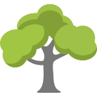 Biloxi Tree Trimming