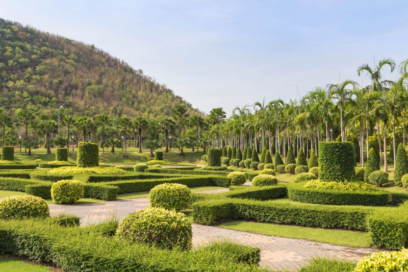 Trimmed Trees with Balanced Canopy