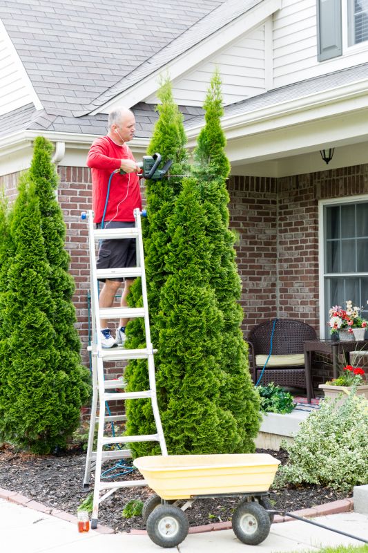 Tree Trimming in a Residential Area
